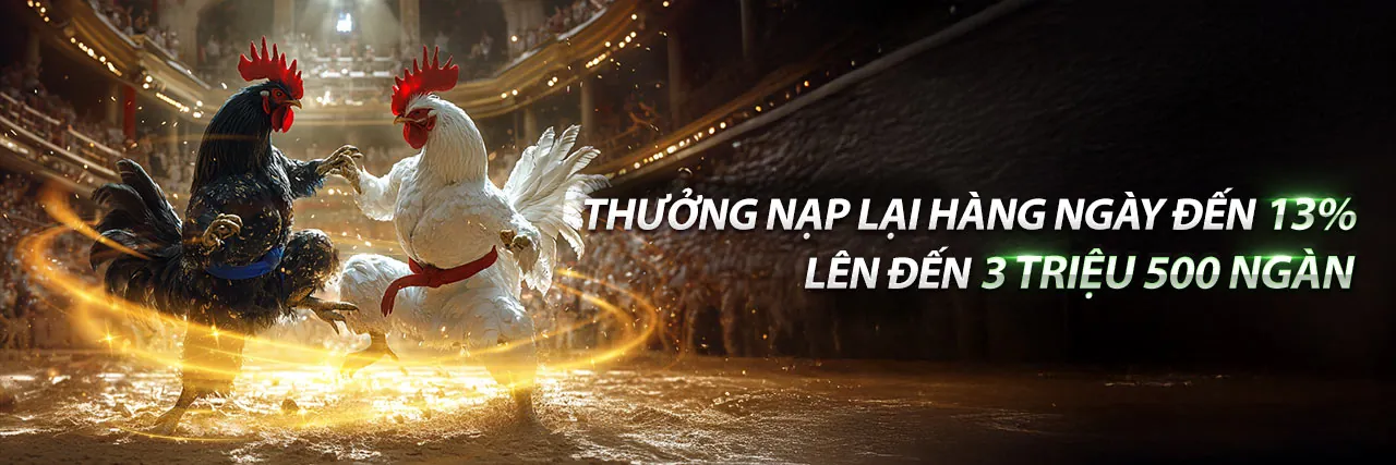 Đá gà trực tuyến kuwin2 app